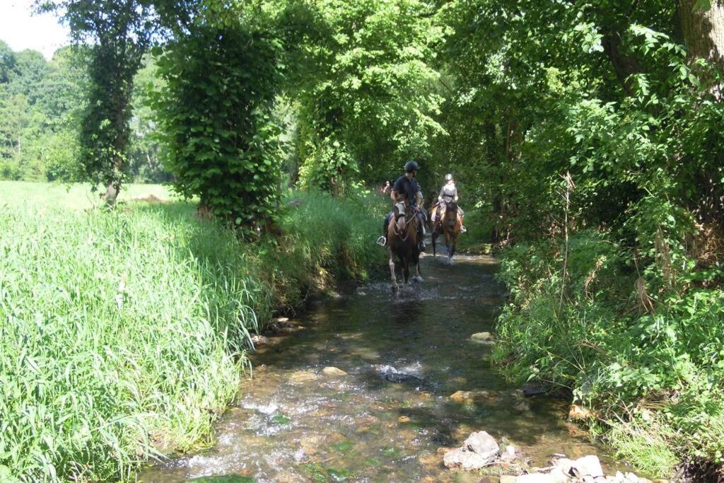 Hoeve Espewey Cottage Hombourg 외부 사진
